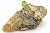 Lustrous, Yellow Apatite Crystal With Calcite - Morocco #221024-1